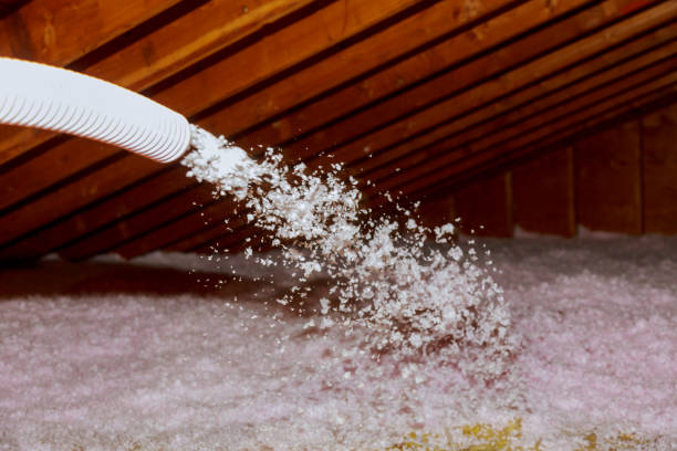 Best Commercial Insulation in Waverly, MI